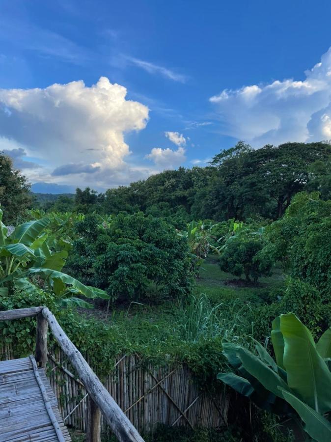 Chiang Dao Hostel 외부 사진