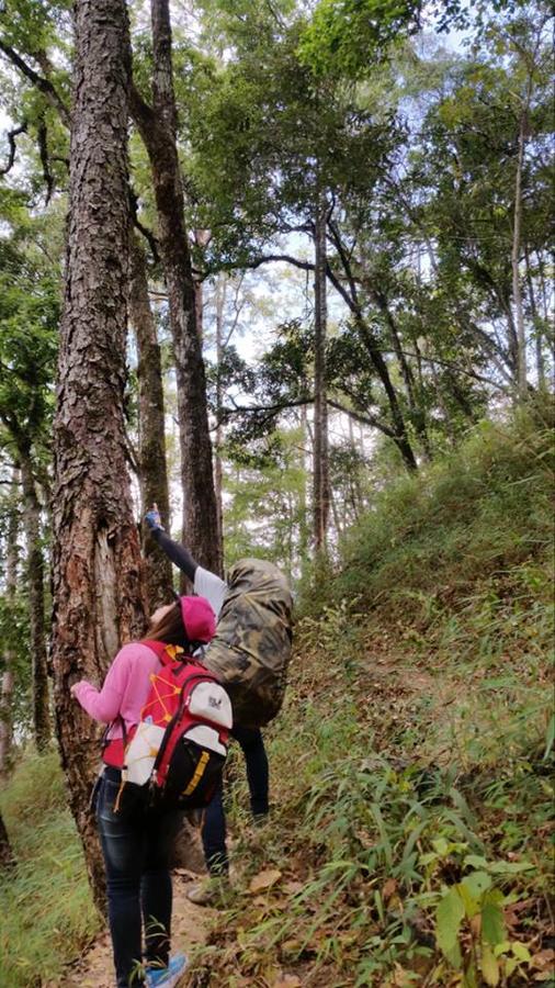 Chiang Dao Hostel 외부 사진