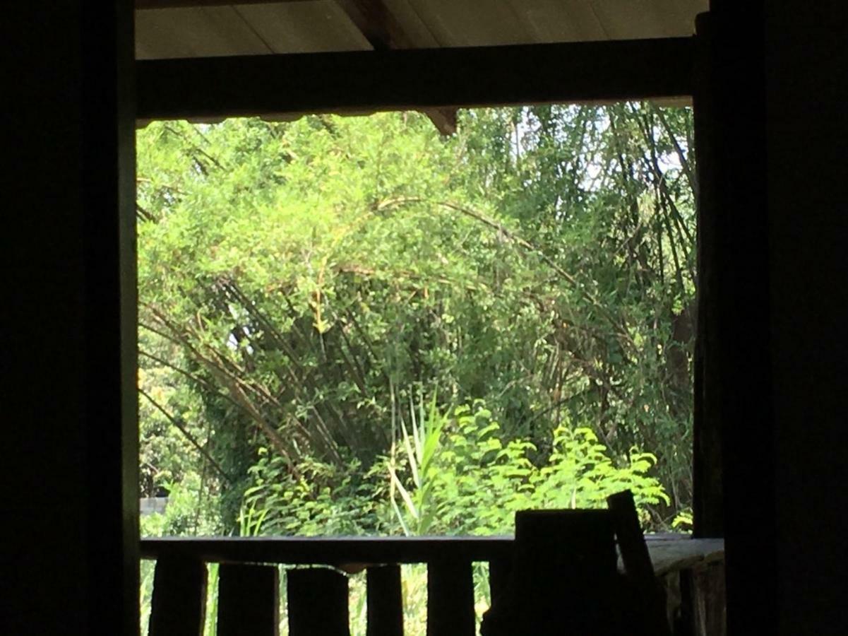 Chiang Dao Hostel 외부 사진